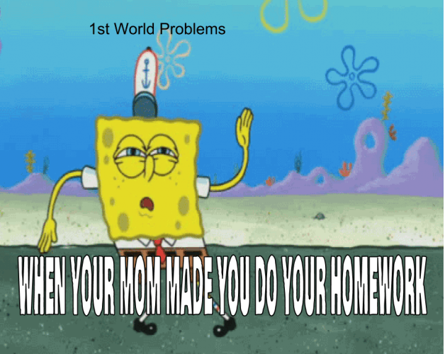 1st World Problem Meme